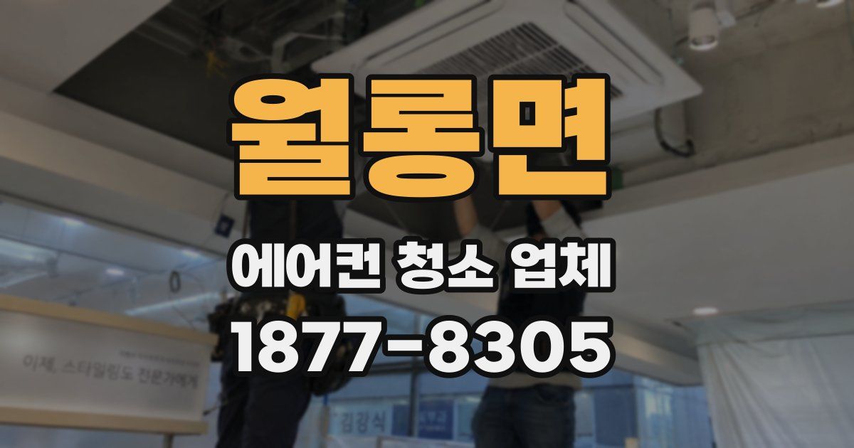 월롱면 에어컨 청소 업체