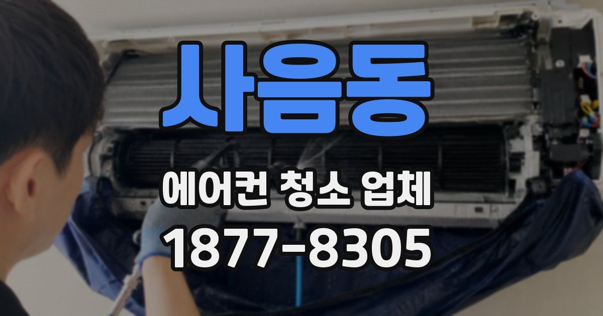 사음동 에어컨 청소 업체