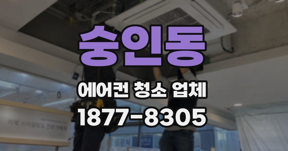 숭인동 에어컨 청소 업체