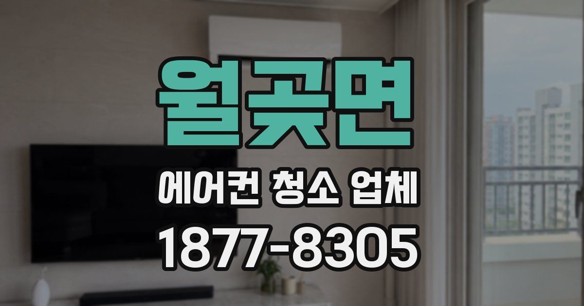 월곶면 에어컨 청소 업체