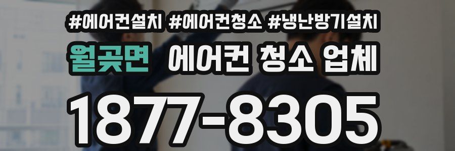 월곶면 에어컨 청소 업체
