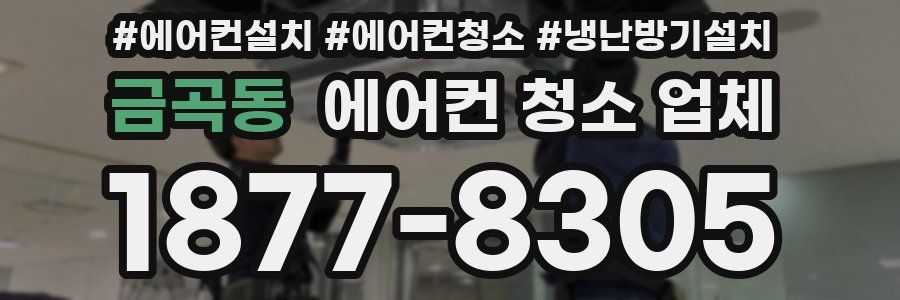 금곡동 에어컨 청소 업체