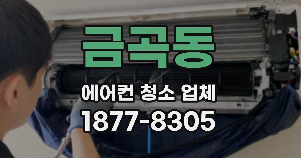 금곡동 에어컨 청소 업체