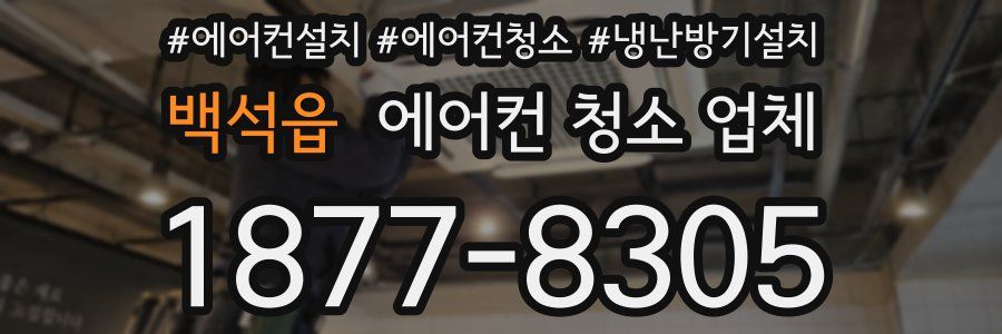 백석읍 에어컨 청소 업체