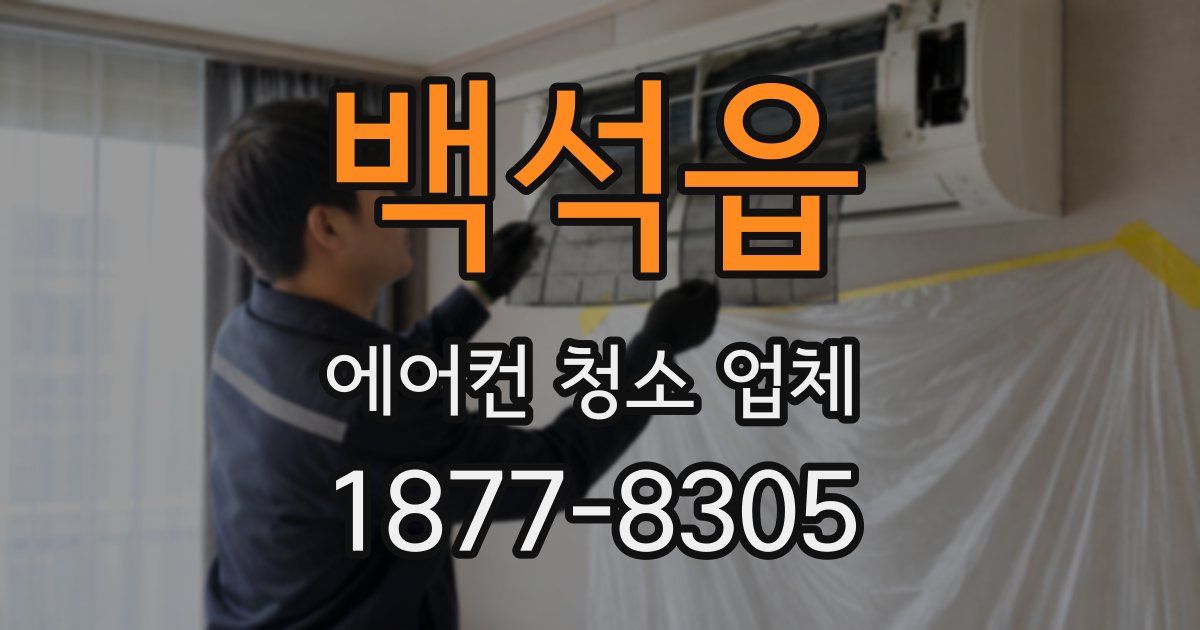 백석읍 에어컨 청소 업체