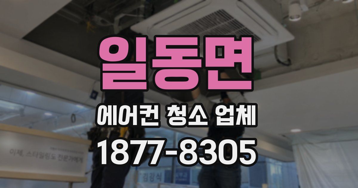 일동면 에어컨 청소 업체