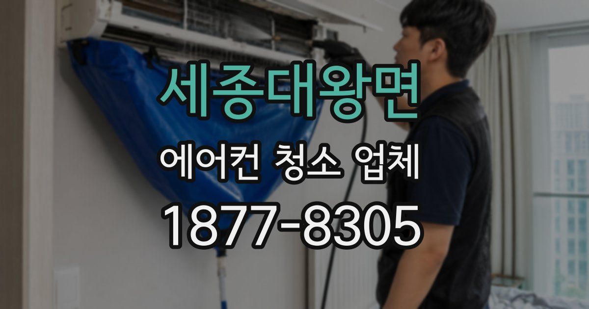 세종대왕면 에어컨 청소 업체