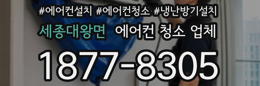 세종대왕면 에어컨 청소 업체