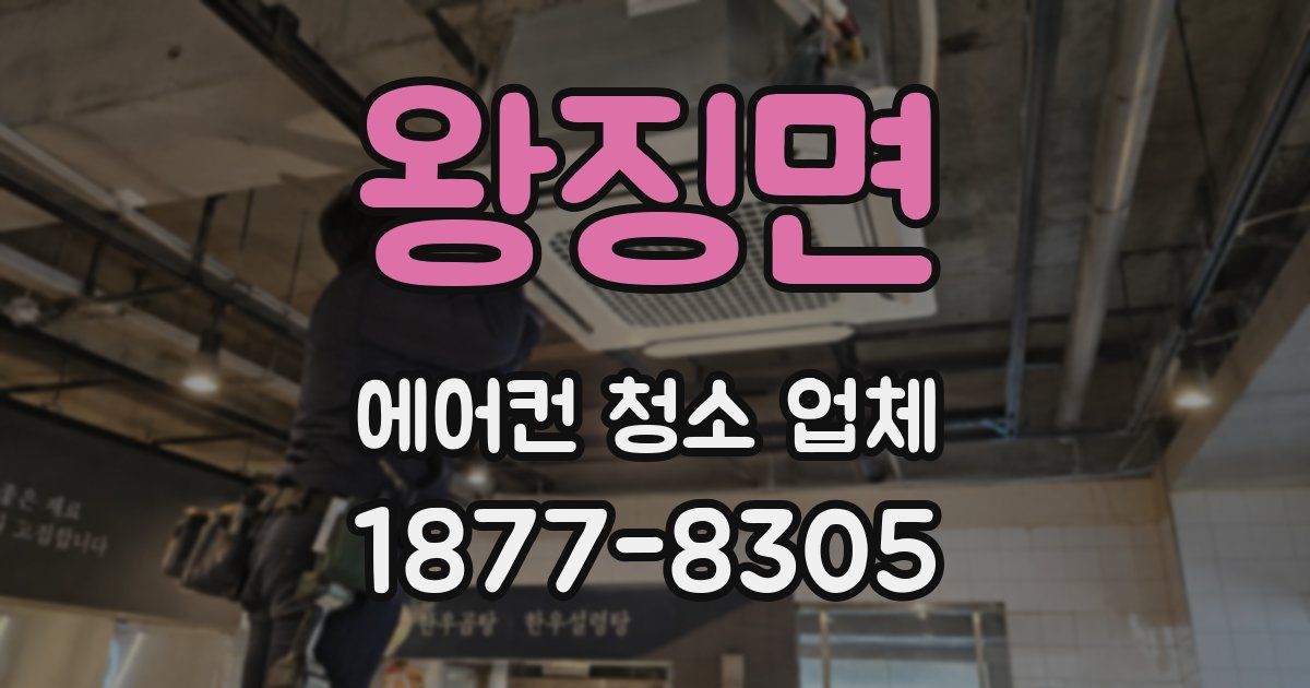 왕징면 에어컨 청소 업체