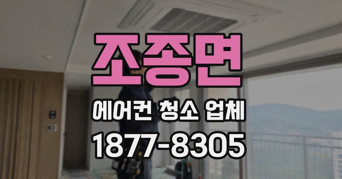 조종면 에어컨 청소 업체