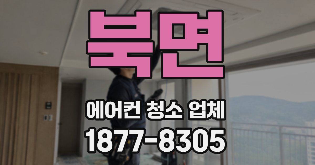 북면 에어컨 청소 업체