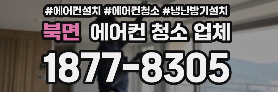 북면 에어컨 청소 업체