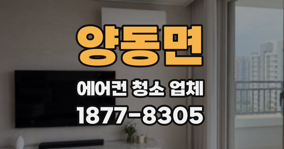양동면 에어컨 청소 업체