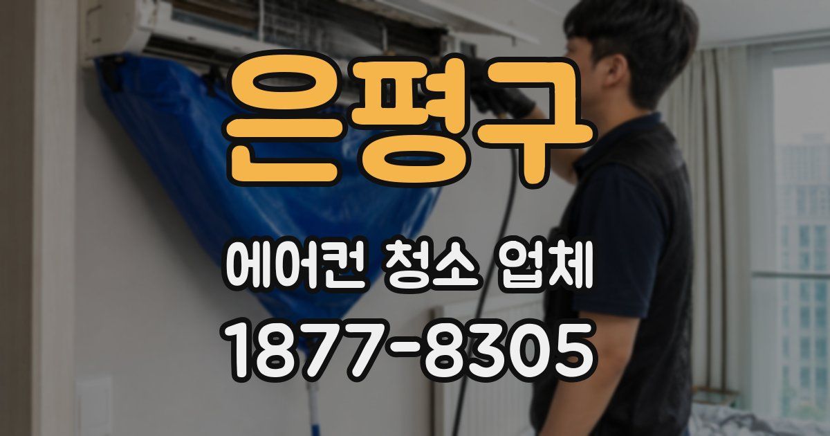 은평구 에어컨 청소 업체