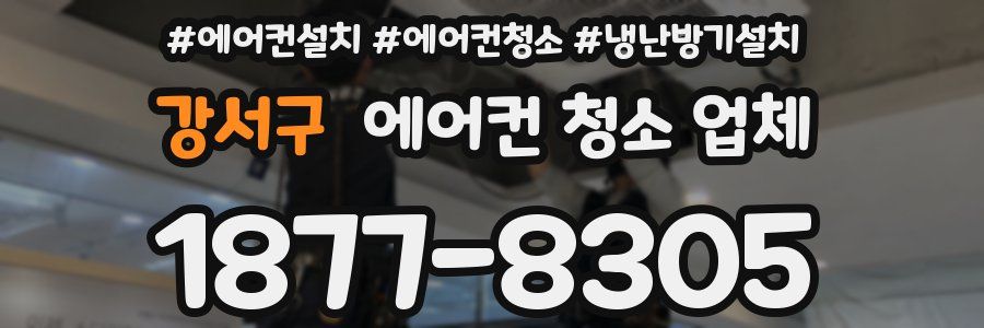 강서구 에어컨 청소 업체