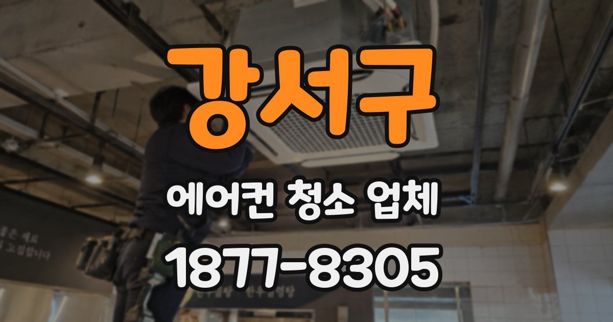 강서구 에어컨 청소 업체