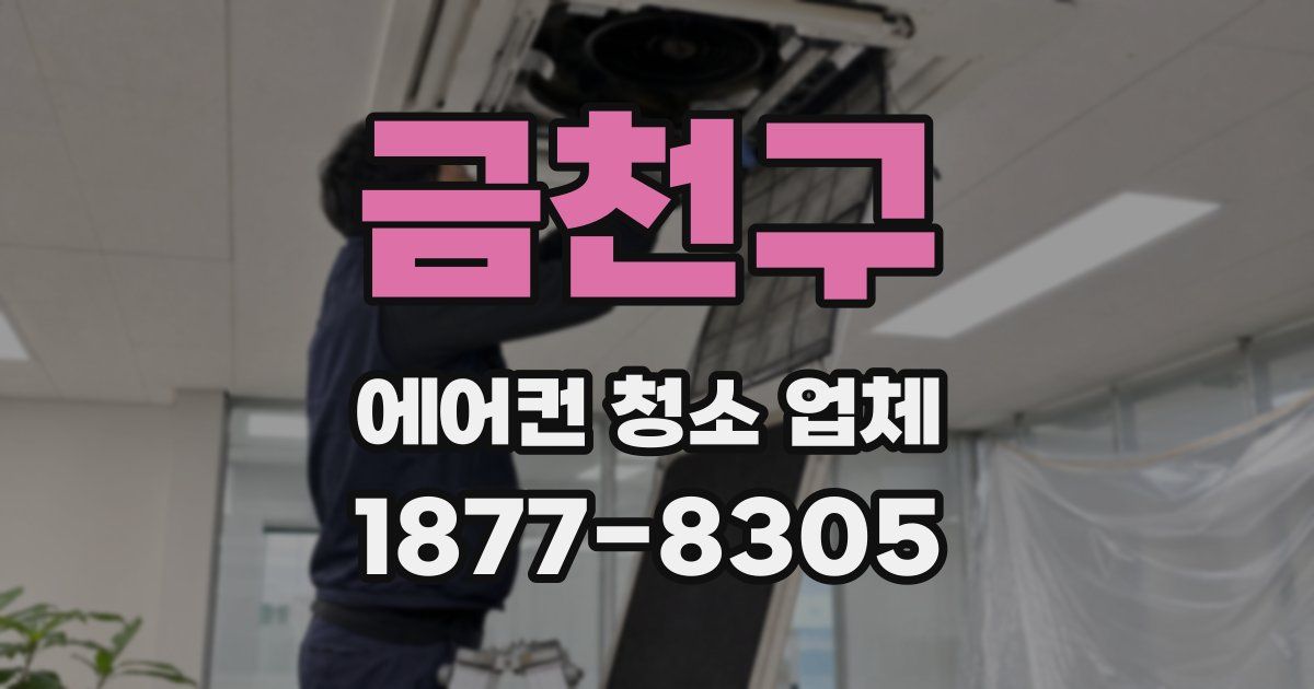 금천구 에어컨 청소 업체