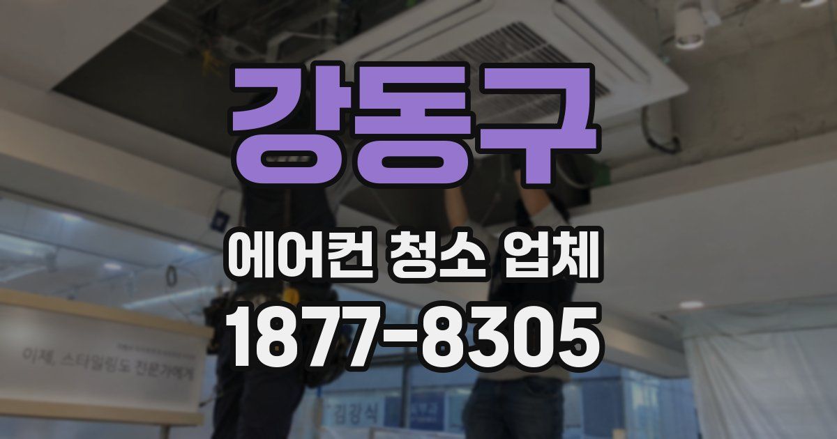 강동구 에어컨 청소 업체