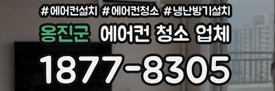 옹진군 에어컨 청소 업체