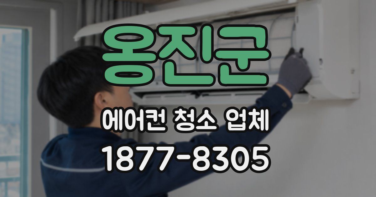 옹진군 에어컨 청소 업체