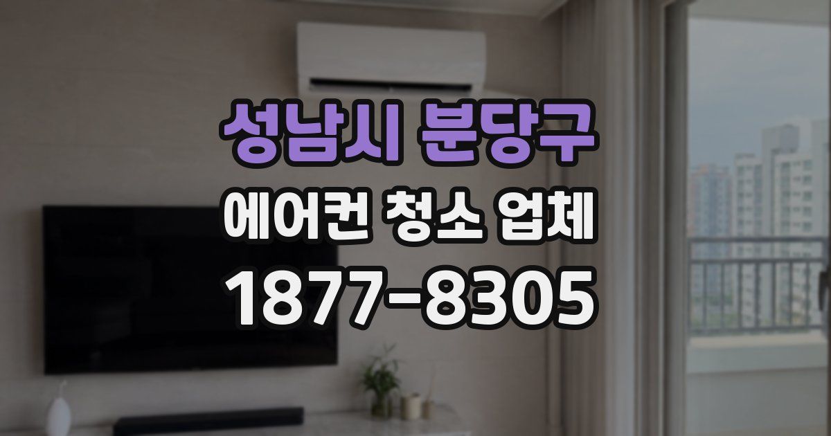 성남시 분당구 에어컨 청소 업체