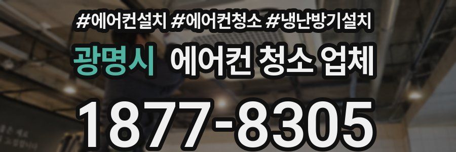 광명시 에어컨 청소 업체