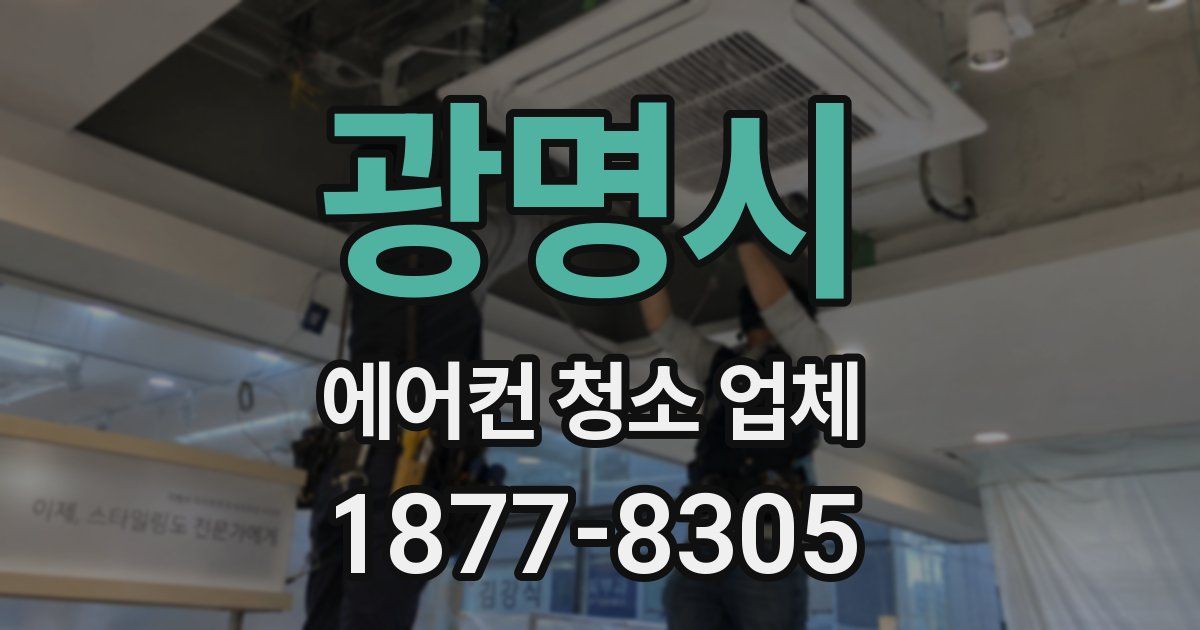 광명시 에어컨 청소 업체