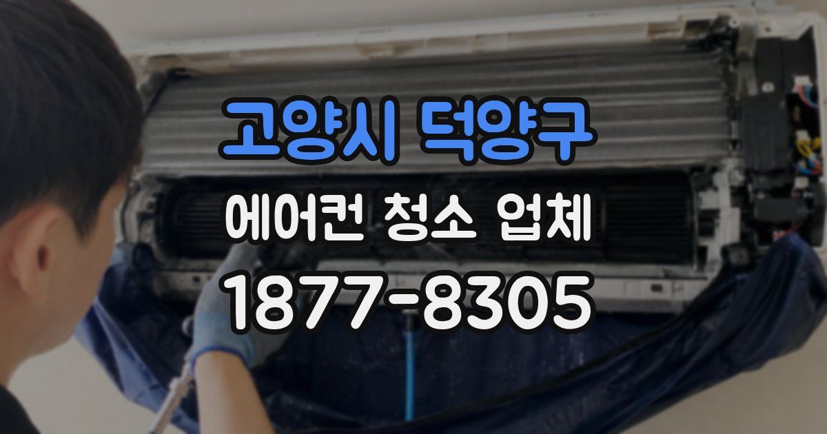 고양시 덕양구 에어컨 청소 업체