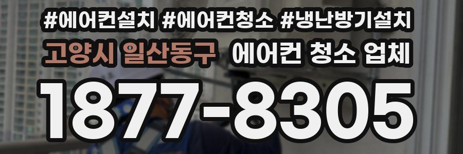 고양시 일산동구 에어컨 청소 업체