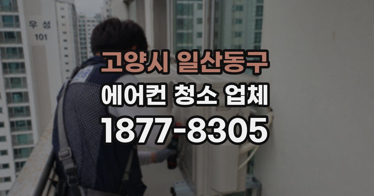 고양시 일산동구 에어컨 청소 업체