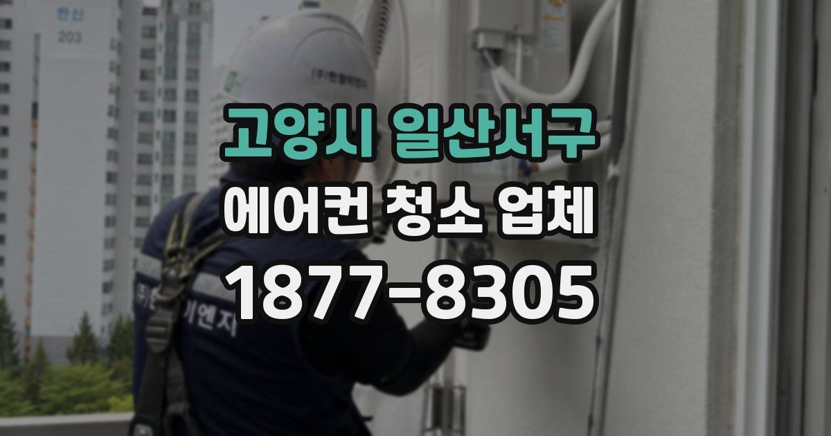고양시 일산서구 에어컨 청소 업체