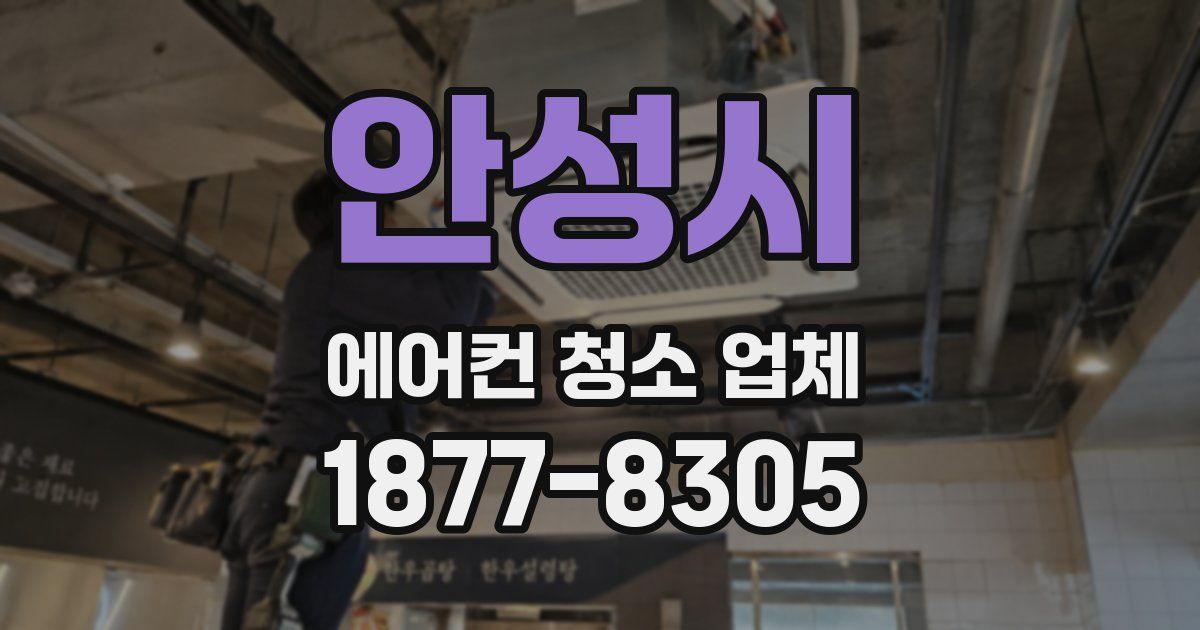 안성시 에어컨 청소 업체