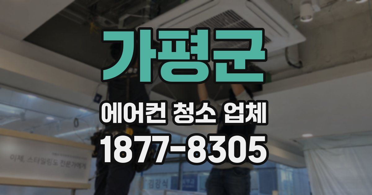 가평군 에어컨 청소 업체