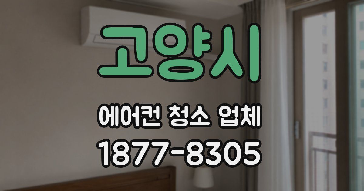 고양시 에어컨 청소 업체