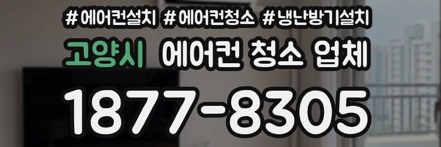 고양시 에어컨 청소 업체