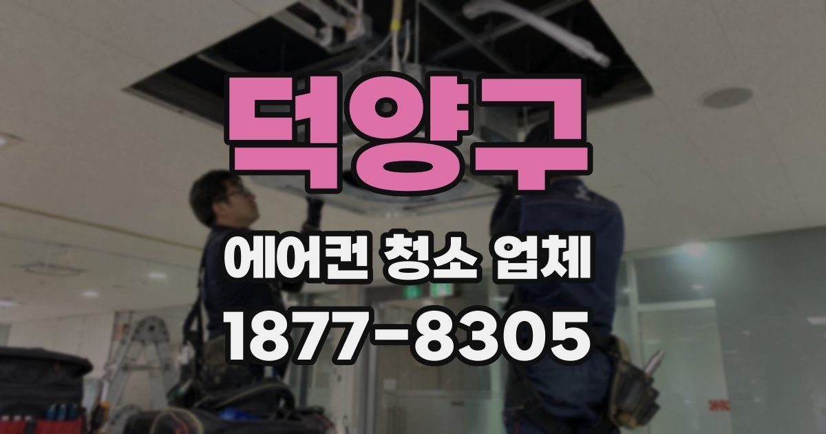 덕양구 에어컨 청소 업체
