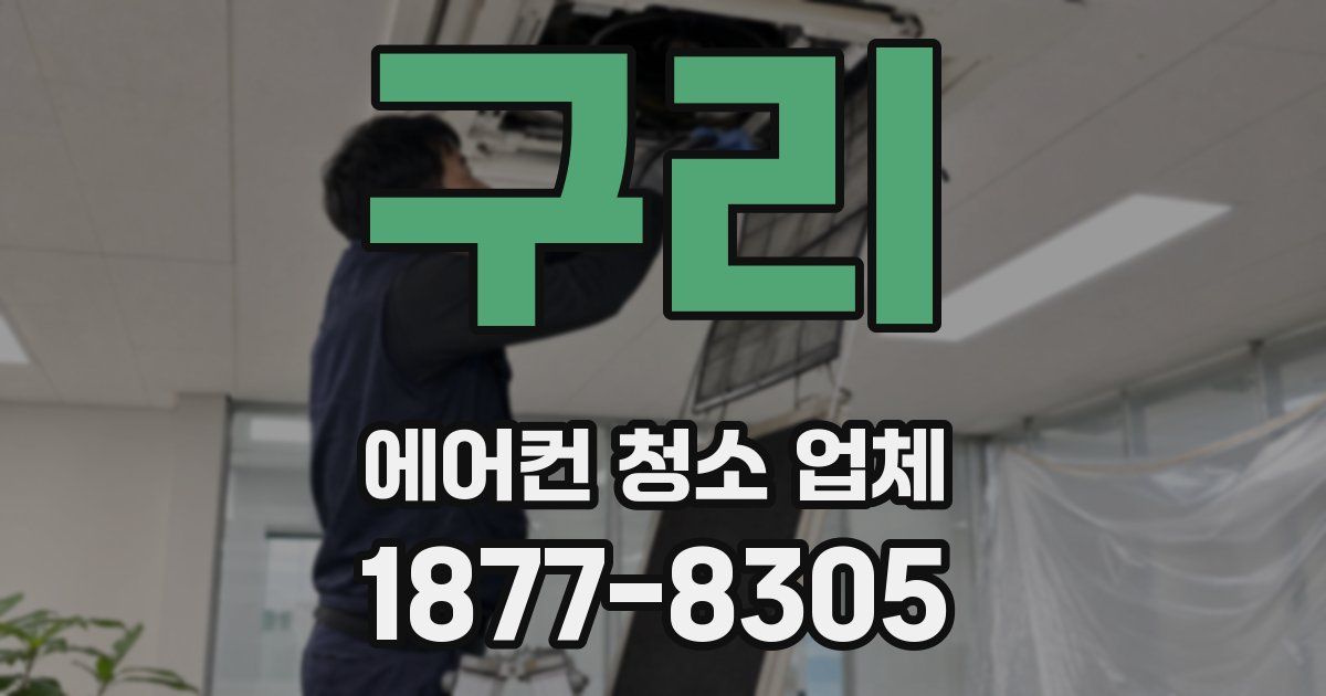 구리 에어컨 청소 업체