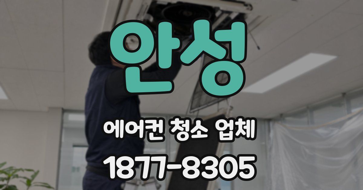 안성 에어컨 청소 업체