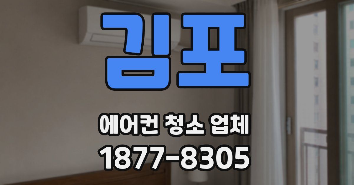 김포 에어컨 청소 업체