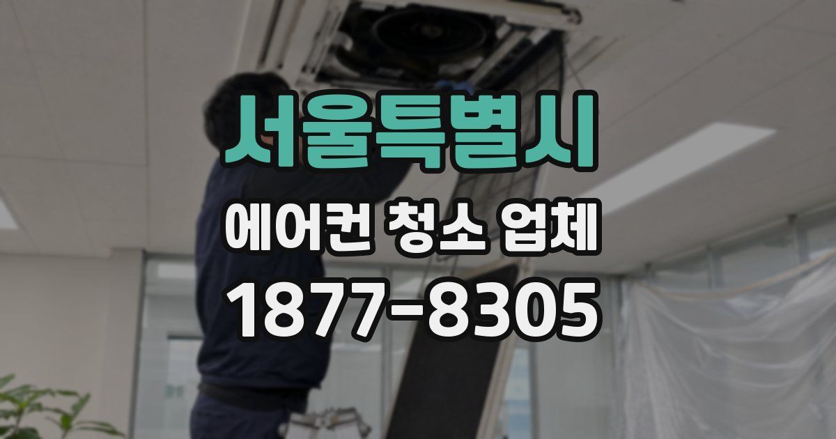 서울특별시 에어컨 청소 업체