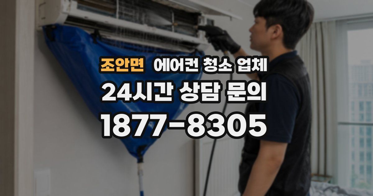 조안면 에어컨 청소 업체