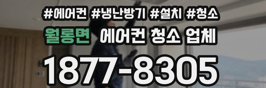 월롱면 에어컨 청소 업체