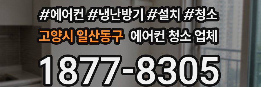 고양시 일산동구 에어컨 청소 업체