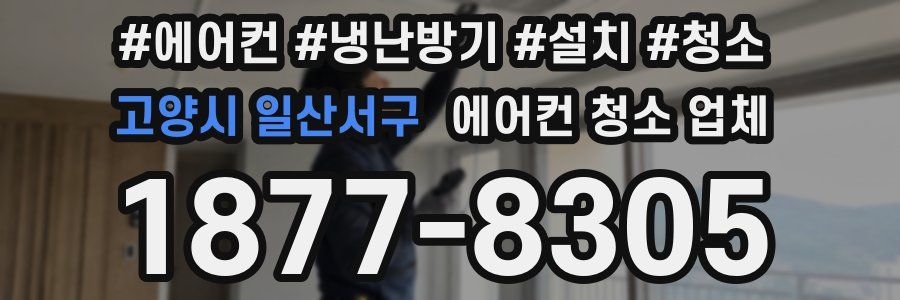 고양시 일산서구 에어컨 청소 업체
