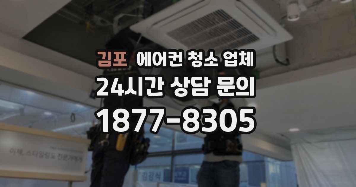 김포 에어컨 청소 업체