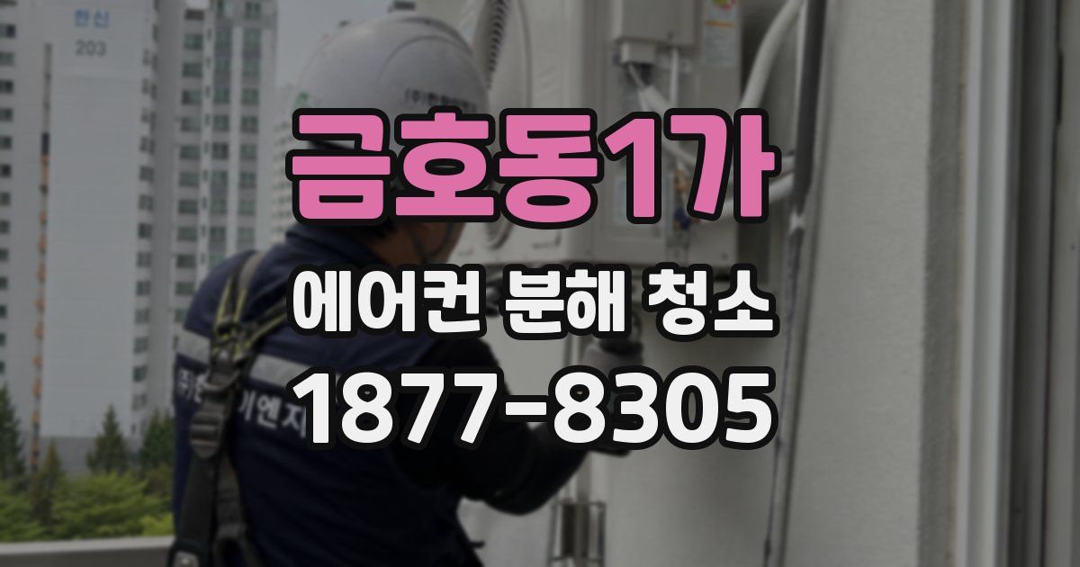 금호동1가 에어컨 분해 청소
