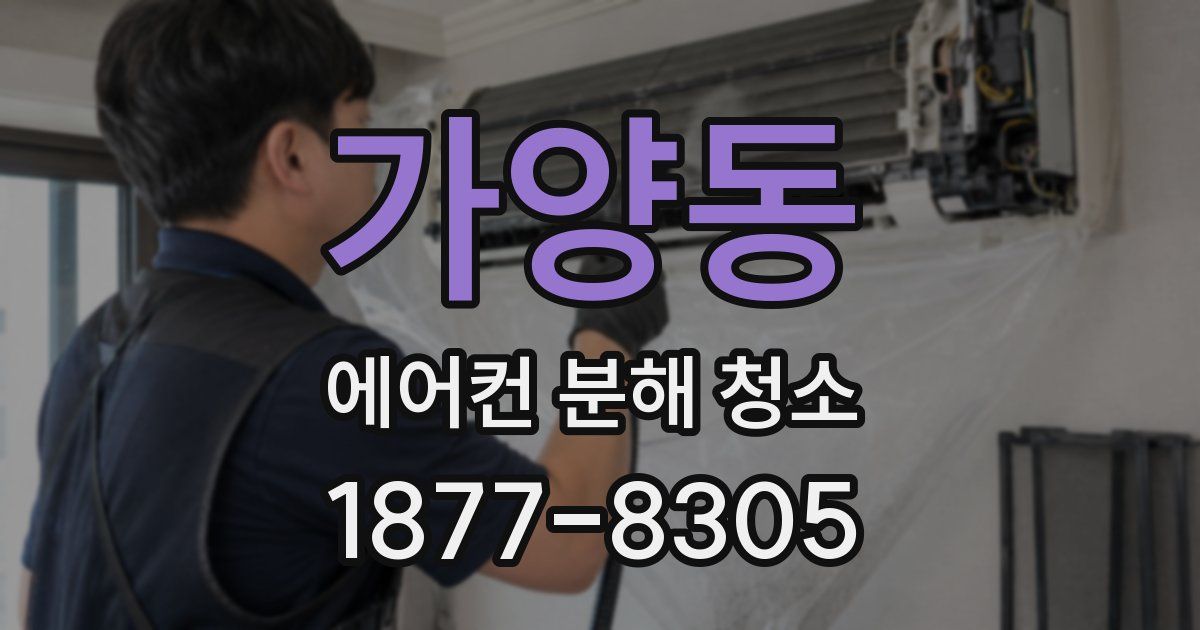 가양동 에어컨 분해 청소