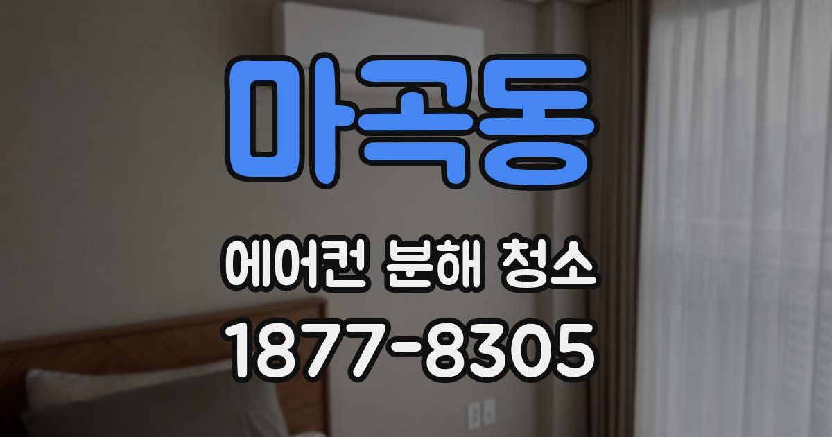 마곡동 에어컨 분해 청소