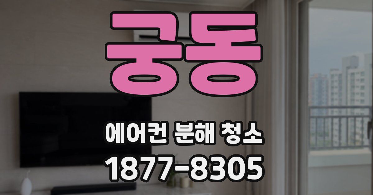 궁동 에어컨 분해 청소