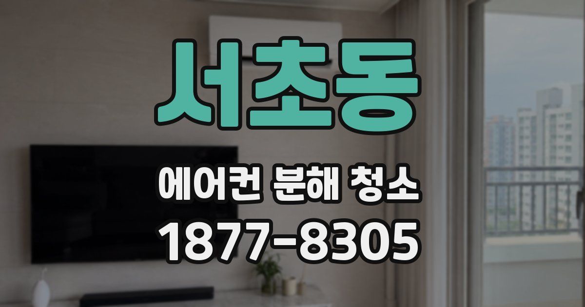 서초동 에어컨 분해 청소